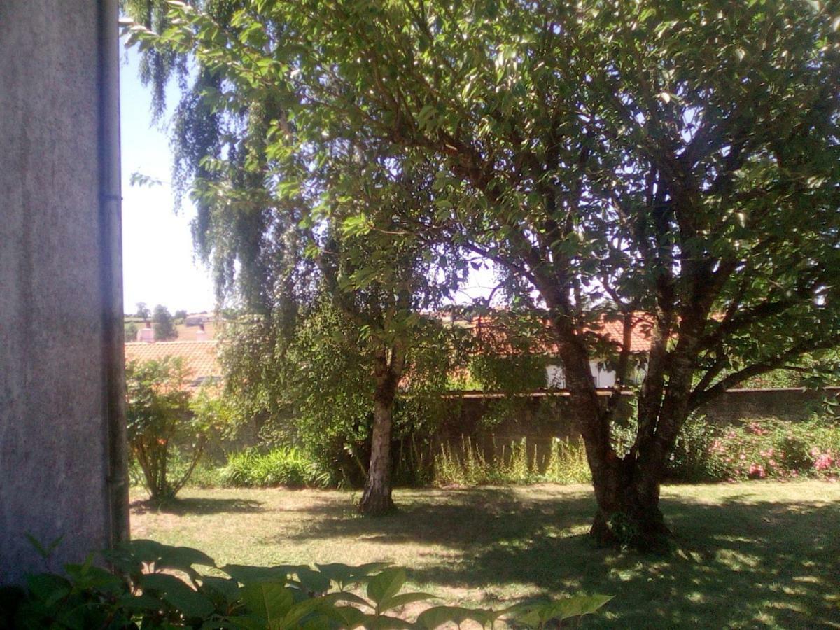 Le Gîte de Réaumur Exterior foto