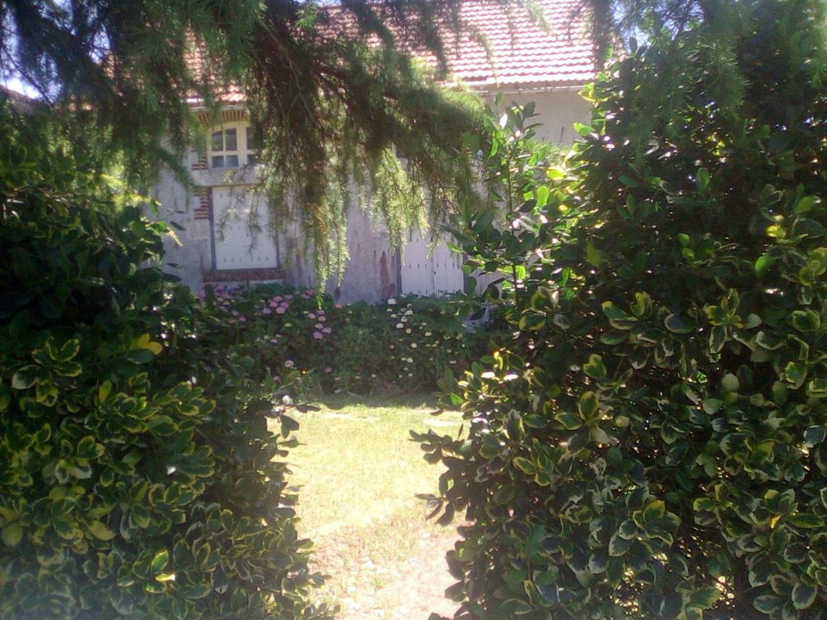 Le Gîte de Réaumur Exterior foto